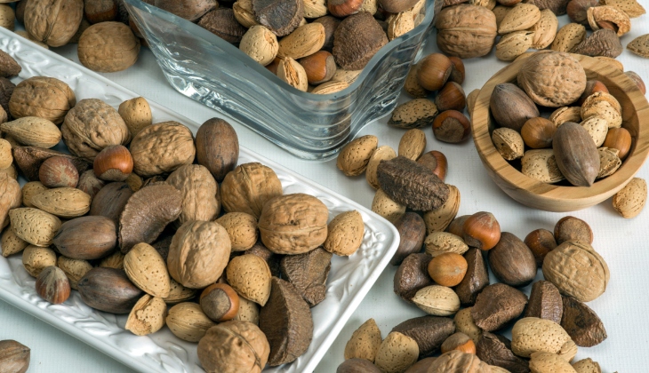 Nuts, Fruits, and Fillings Extra Ingredients for Flavored Chocolates